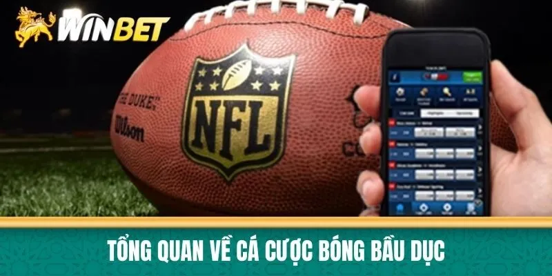 Tổng quan về cá cược bóng bầu dục