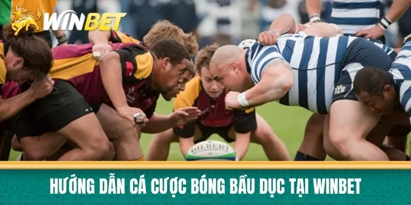 Hướng dẫn cá cược bóng bầu dục tại Winbet