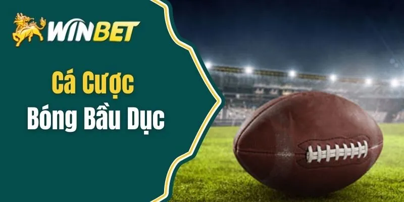 Cá Cược Bóng Bầu Dục - Cơ Hội Đầu Tư Cho Dân Chơi