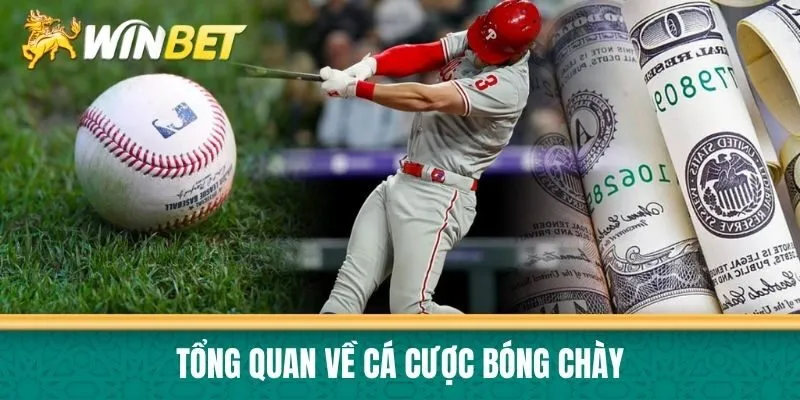 Tổng quan về cá cược bóng chày
