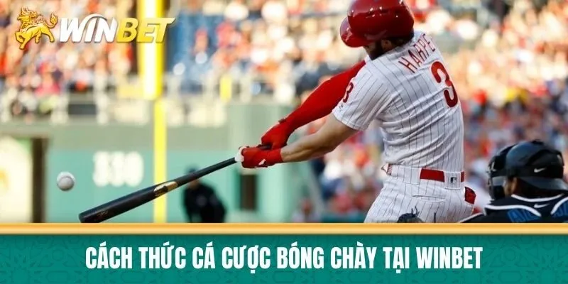 Cách thức cá cược bóng chày tại Winbet
