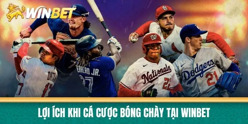 Lợi ích khi cá cược bóng chày tại Winbet