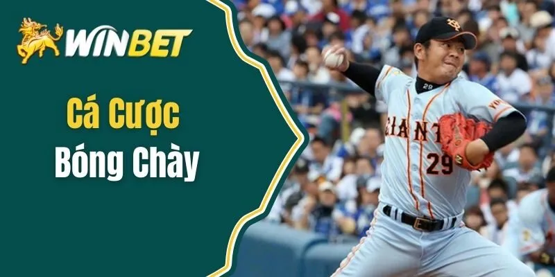 Cá Cược Bóng Chày - Bí Quyết Chiến Thắng Từ A Đến Z
