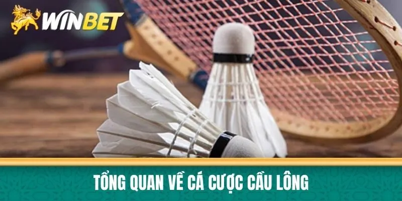 Tổng quan về cá cược cầu lông