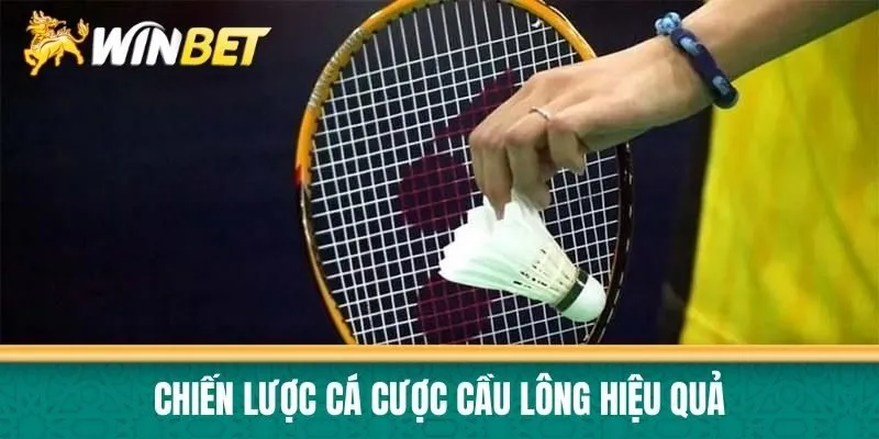 Chiến lược cá cược cầu lông hiệu quả