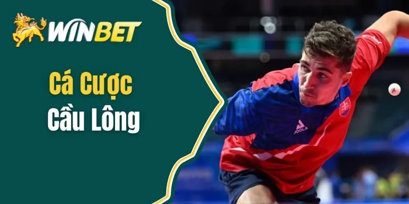 Cá Cược Cầu Lông - Phân Tích Phong Độ Tuyển Thủ, Đội Hình