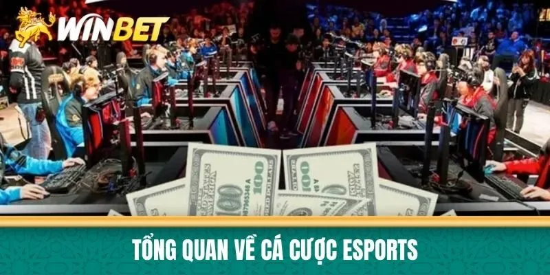 Tổng quan về cá cược eSports