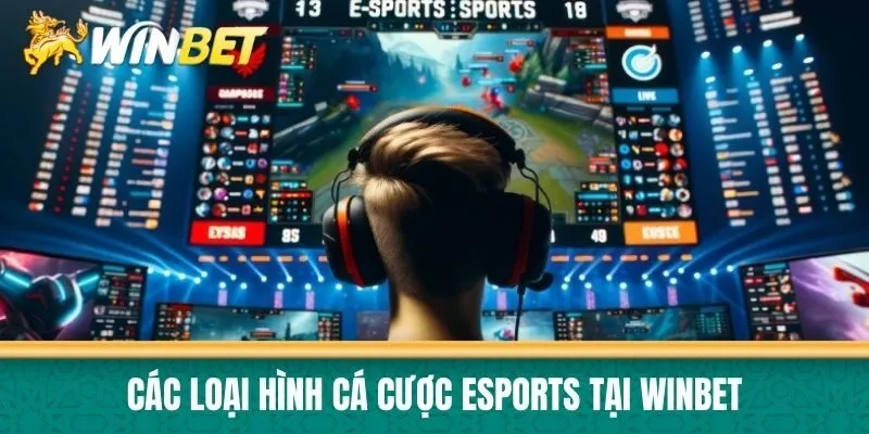 Các loại hình cá cược eSports tại Winbet