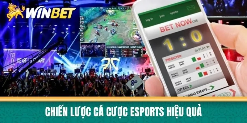 Chiến lược cá cược eSports hiệu quả