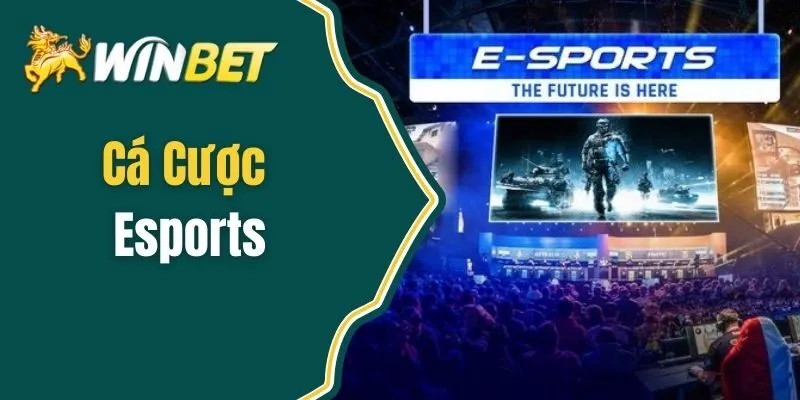 Cá Cược Esports Trách Nhiệm Chơi Vui, Không Gây Nghiện