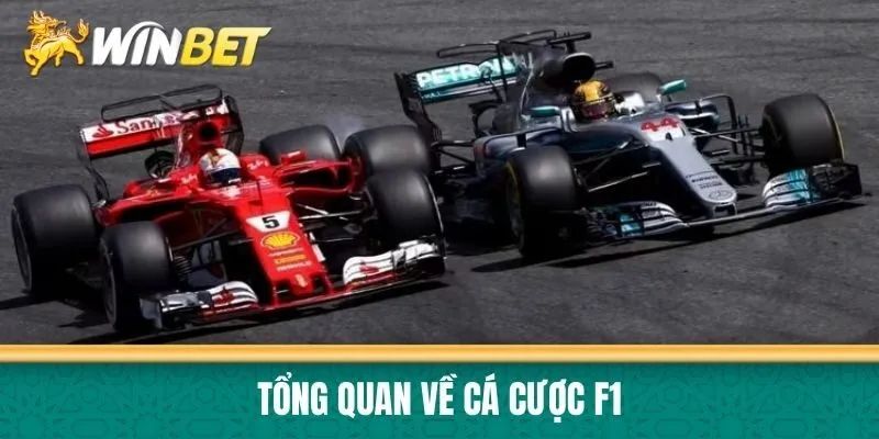 Tổng quan về cá cược F1