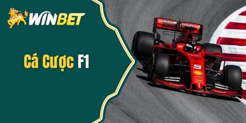 Cá Cược F1 - Thế Giới Cá Cược Với Các Tay Đua Lão Làng