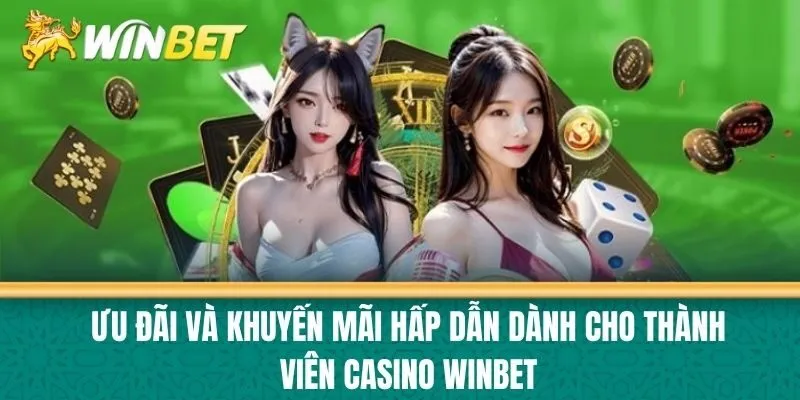 Ưu Đãi và Khuyến Mãi Hấp Dẫn Dành Cho Thành Viên Casino Winbet