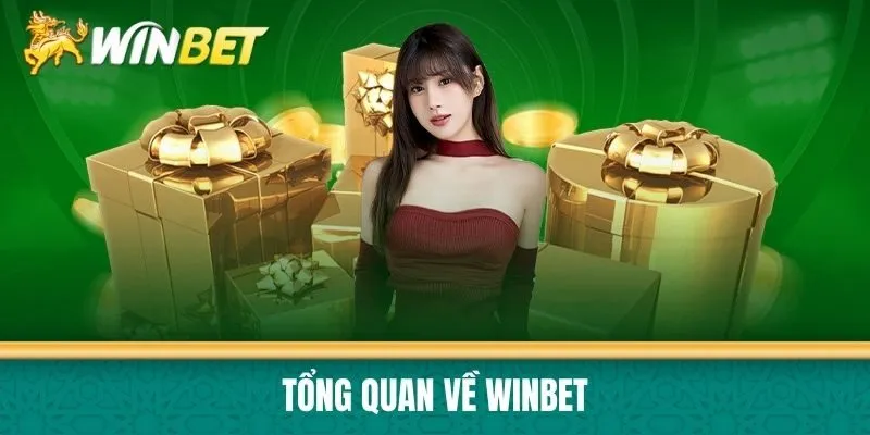Tổng quan về Winbet