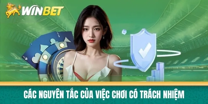 Các nguyên tắc của việc chơi có trách nhiệm