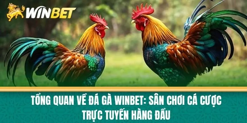 Tổng quan về Đá Gà Winbet: Sân Chơi Cá Cược Trực Tuyến Hàng Đầu