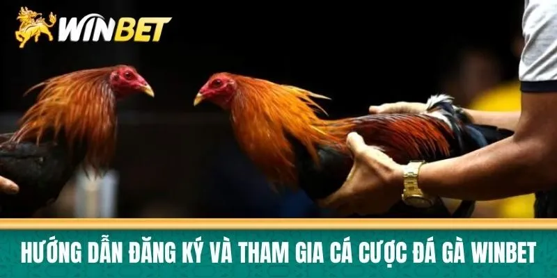 Hướng Dẫn Đăng Ký và Tham Gia Cá Cược Đá Gà Winbet