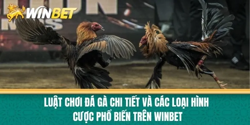 Luật Chơi Đá Gà Chi Tiết và Các Loại Hình Cược Phổ Biến trên Winbet