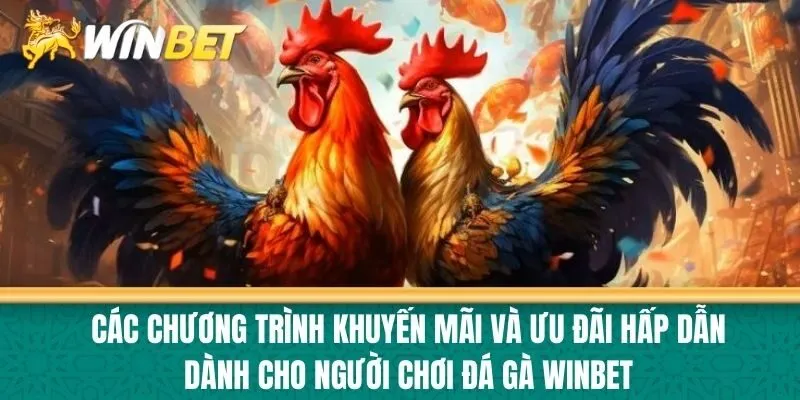 Các Chương Trình Khuyến Mãi và Ưu Đãi Hấp Dẫn Dành Cho Người Chơi Đá Gà Winbet