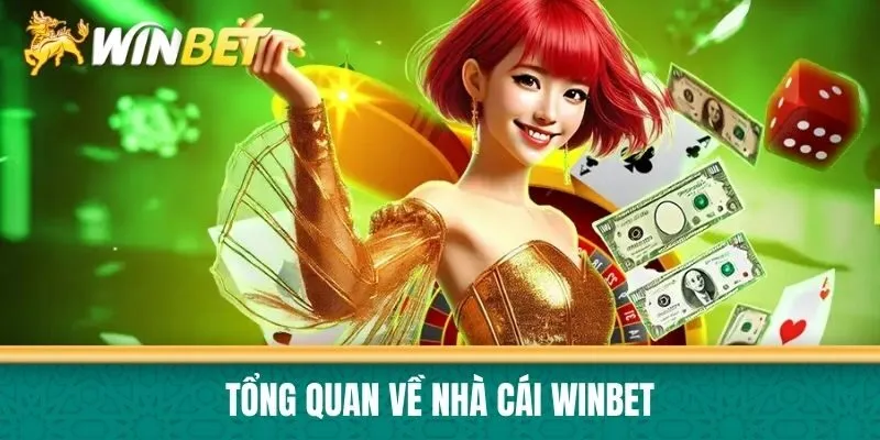 Tổng quan về nhà cái Winbet